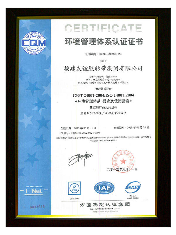 Environment Management System Certificate